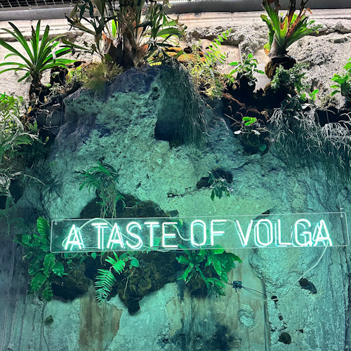 Hotel Volga - A Taste of Volga - Neon sign