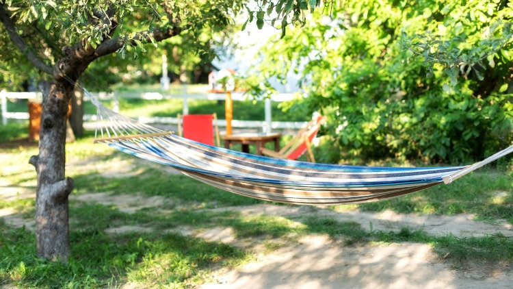 hammock