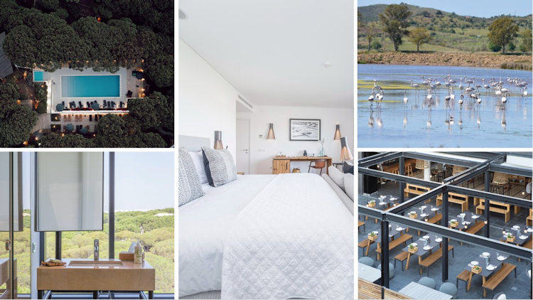 Octant Hotels