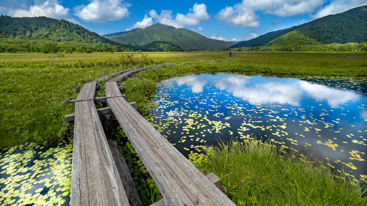 Oze National Park