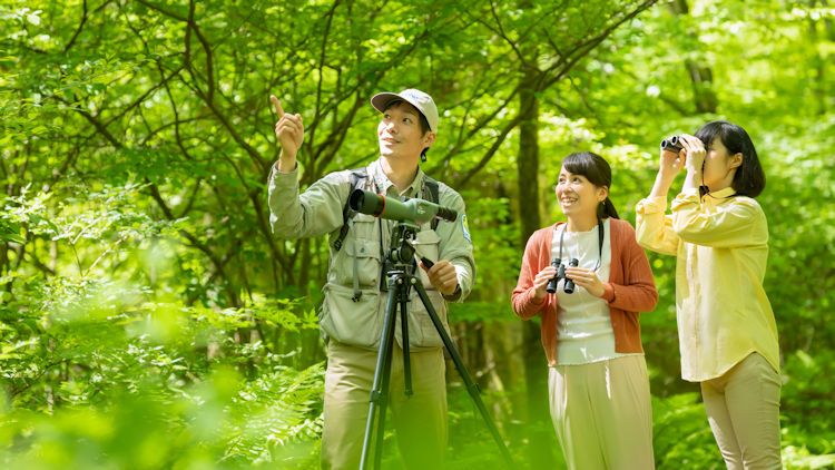 Picchio Wildlife Center 