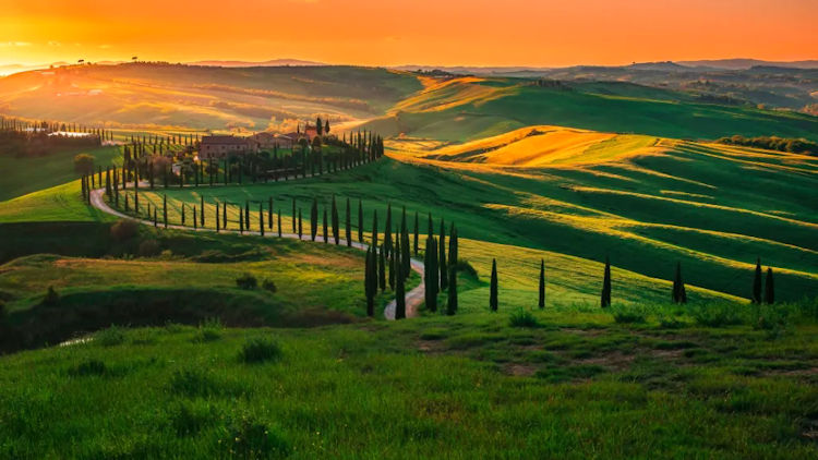 Tuscany vineyards sunset