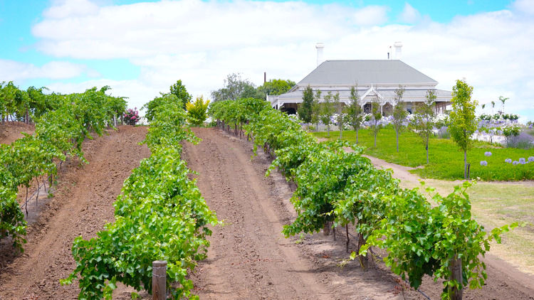 Barossa Valley