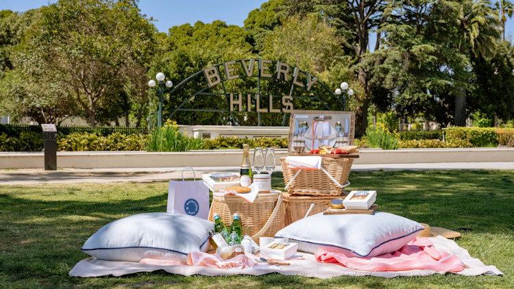 Beverly Hills picnic
