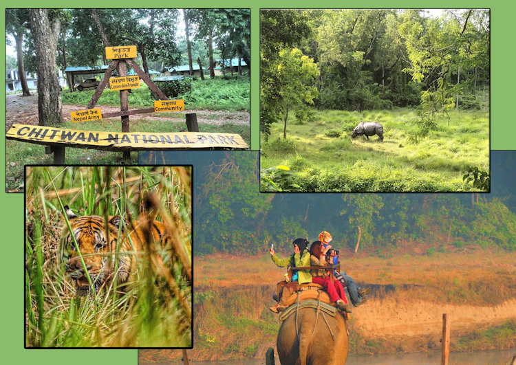 Ultimate 2 Week Itinerary in Nepal – Everest Base Camp Trek and Chitwan Jungle Safari Tour in Nepal Ultimate 2 Week Itinerary in Nepal – Everest Base Camp Trek and Chitwan Jungle Safari Tour in Nepal