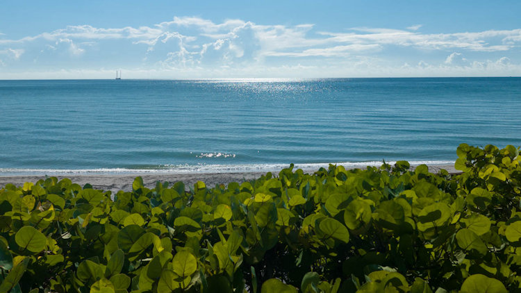 Jupiter Florida summer