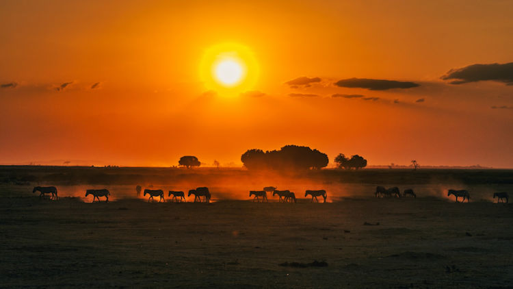 Kenya sunset