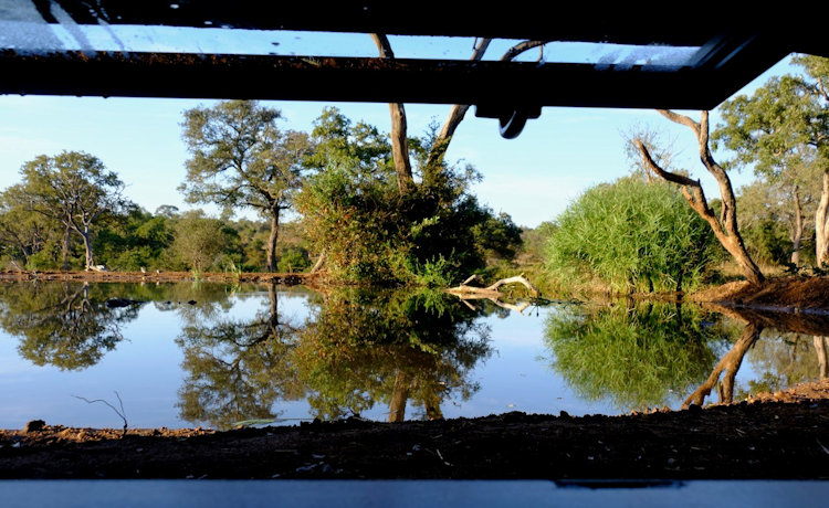 King Camp hide viewing