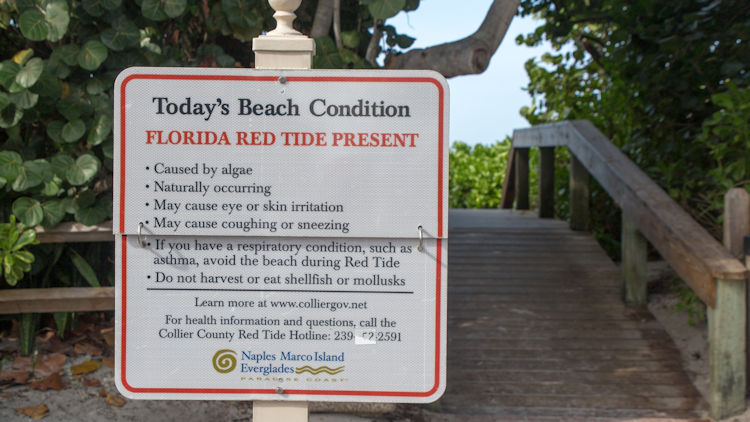 Red Tide