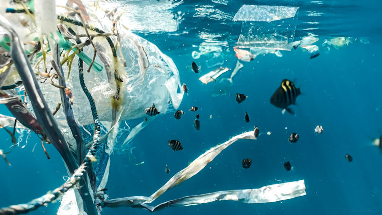 plastic pollution in the ocean