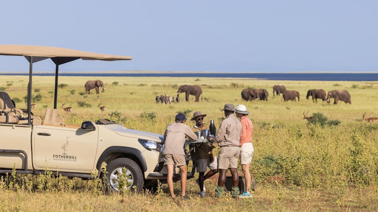 Zimbabwe safari