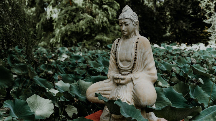 Buddha in garden