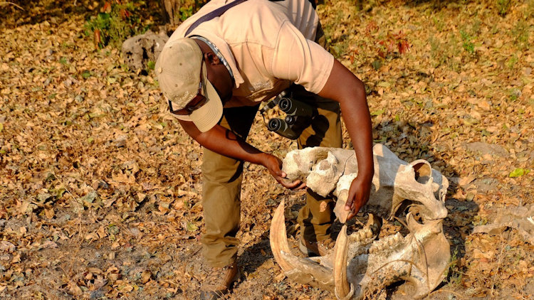 KuKaya safari camp