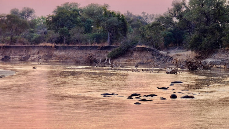 KuKaya safari camp