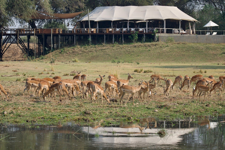 Anabezi Camp