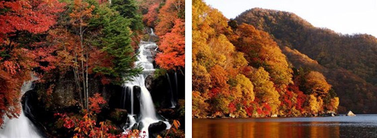 Ryuzu Falls Autumn