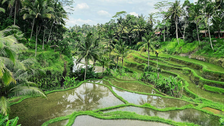 Ubud