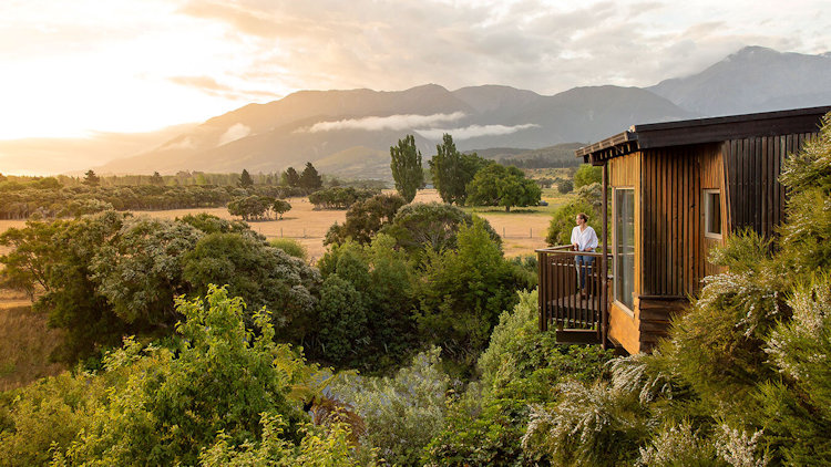 Hapuku Lodge Tree Houses