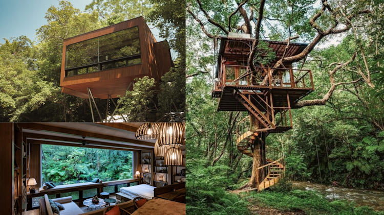 Treeful Treehouse EcoResort Okinawa