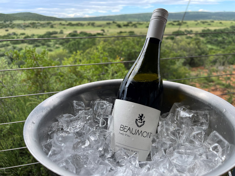 Shamwari wine