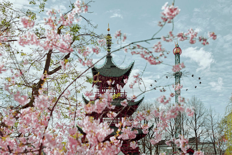 The Japanese Pagoda