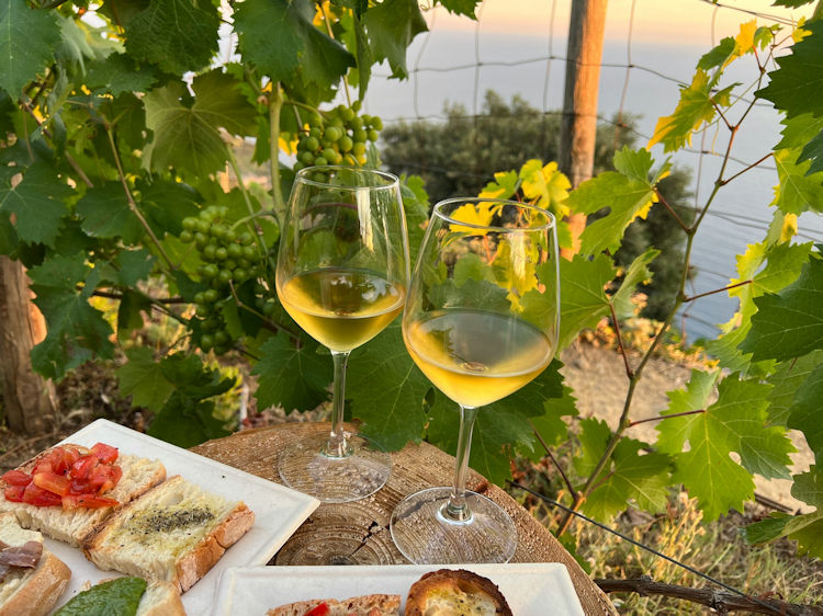 wine in Italy