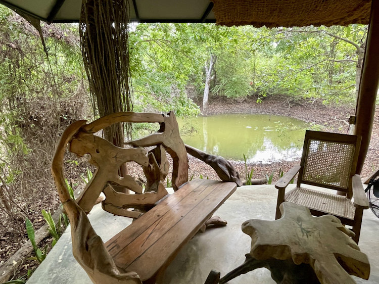 Sri Lanka leopard safari