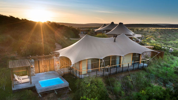 Sindile Lodge at Shamwari Private Game Reserve