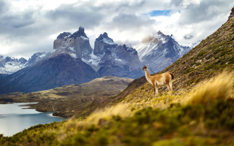 Patagonia