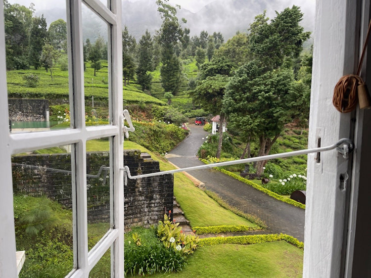 Sri Lanka tea plantation