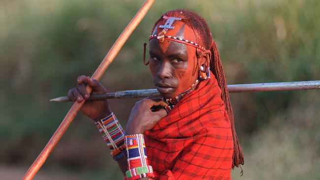 Porini Amboseli -Warrior