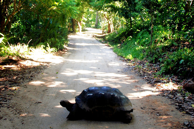 Seychelles North Island