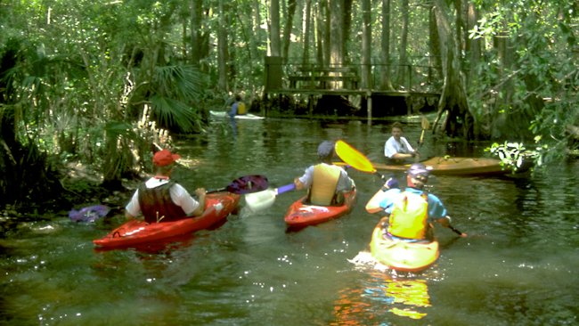 Palm Beach river kayaking