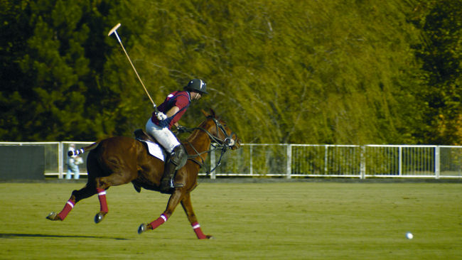 India polo match