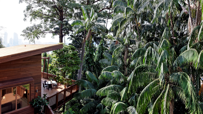 Sentosa treehouse exterior