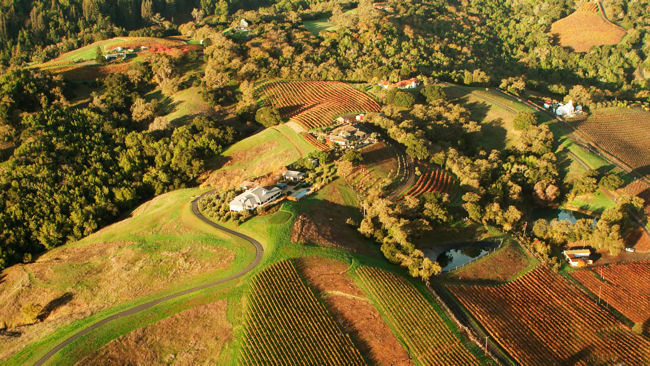 Napa Valley aerial