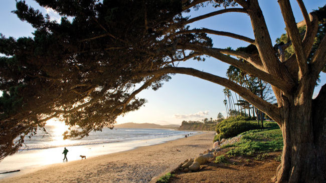 Santa Barbara Butterfly Beach