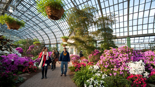 Chicago Garfield Park Conservatory