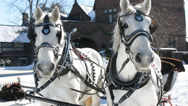 Blantyre horse sleigh rides